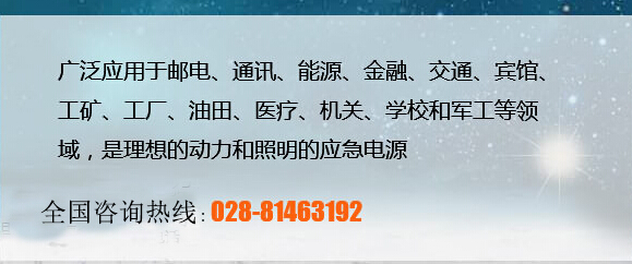 成都柴油發(fā)電機(jī)組